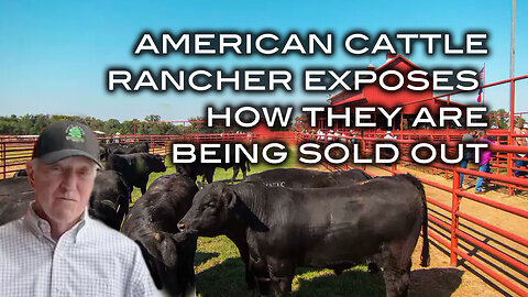 American Cattle Rancher Exposes How They Are Being Sold Out