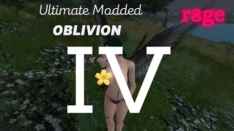 Ultimate Modded OBLIVION Journal Entry Four