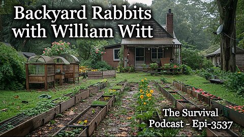 Backyard Rabbits with William Witt - Epi-3537