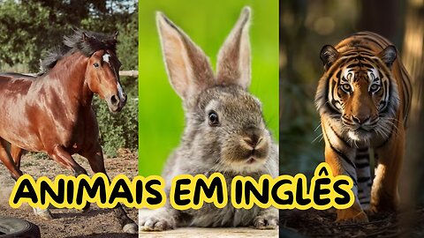 Hora de aprender! | Animais em inglês