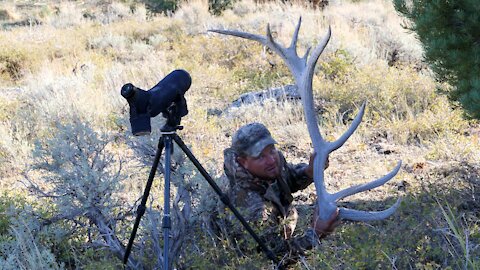 Cody's Nevada Elk Hunt Part 2