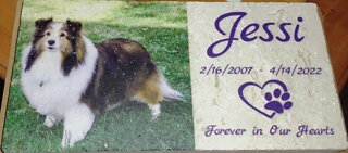 Tribute to "My Sweet Jessi"