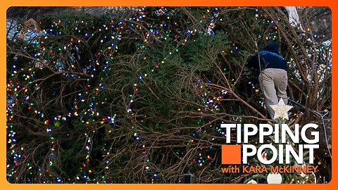 Strong Winds Topple National Christmas Tree | TONIGHT on TIPPING POINT 🟧