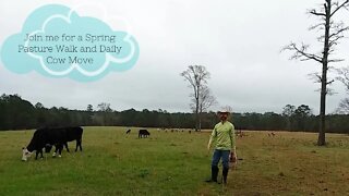 Join me for a Spring Pasture Walk and Daily Cow Move