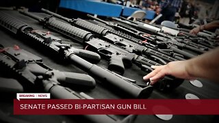 Senate approves landmark gun violence bill, House passage is next