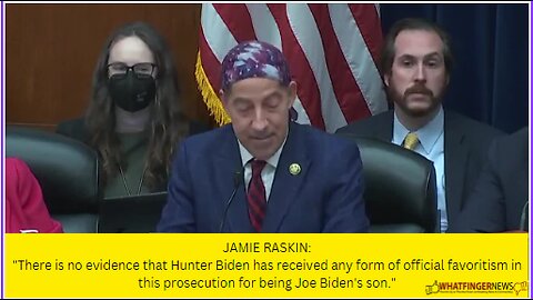 JAMIE RASKIN: There is no evidence that Hunter Biden has received any form of official favoritism