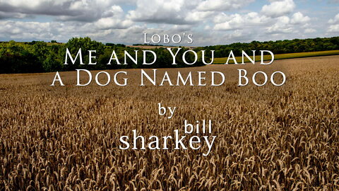 Me and You and a Dog Named Boo - Lobo (cover-live by Bill Sharkey)