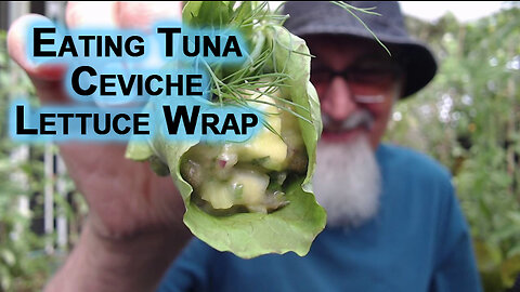 Eating Tuna Ceviche With Herbs & Greens Picked From Our Patio Garden: Seviche Lettuce Wrap [ASMR]