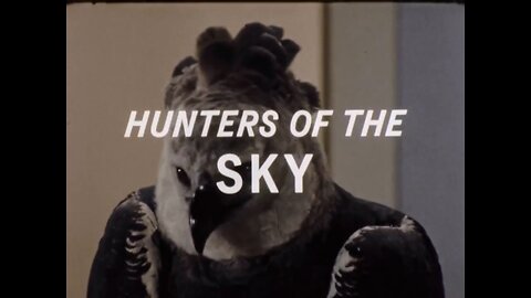 Mutual of Omaha's Wild Kingdom - Hunters of the Sky