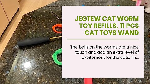 Jegtew Cat Worm Toy Refills, 11 Pcs Cat Toys Wand Replacement Accessories, Cat Wand with Bell,...