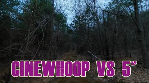Cinewhoop vs 5" Freestyle