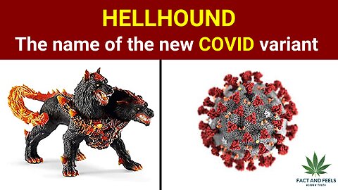 HELLHOUND', the name of the new COVID variant: Why is it called that and what are its symptoms