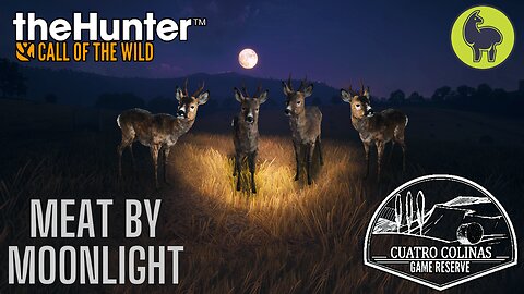 Meat by Moonlight, Cuatro Colinas | theHunter: Call of the Wild (PS5 4K)