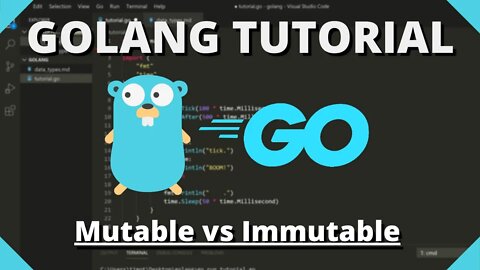 Golang Tutorial #18 - Mutable & Immutable Data Types