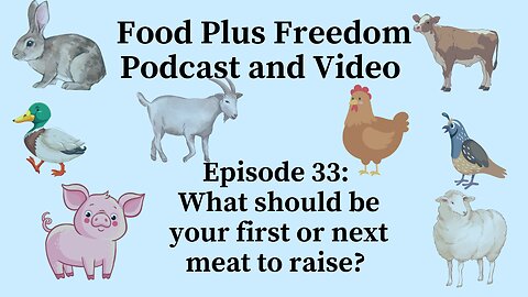 Episode 33: What should be your first or next meat to raise?