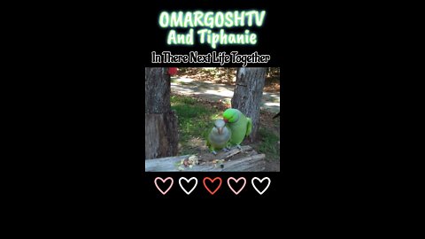 OMARGOSHTV and Tiphanie in their next life together