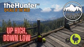 The Hunter: Call of the Wild, Up High, Down Low, Silver Ridge Peaks (PS5 4K)