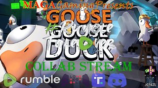 Goose Goose Duck w/ DPadChad and friends