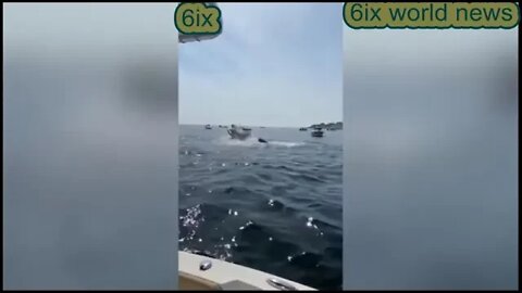 humpback whale CRASHES onto boat Plymouth Harbor, Massachusetts