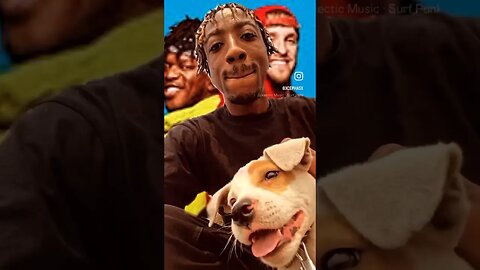 #ksi #loganpaul what are y’all doing? #reaction #dog #energydrink #reacts #branding #marketing