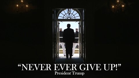 NEVER GIVE UP! - President Donald J. Trump