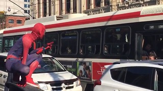 Spider-Man keeping the streets of Toronto safe