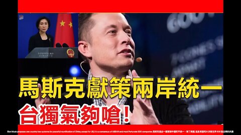 Elon Musk proposes one country two systems for Taiwan peaceful reunification with China