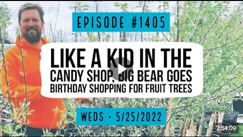 Owen Benjamin #1405 Like A Kid In The Candy Shop, Big Bear Goes Birthday Shopping For Fruit Trees