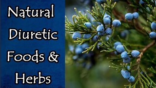 Natural Diuretic Foods and Herbs