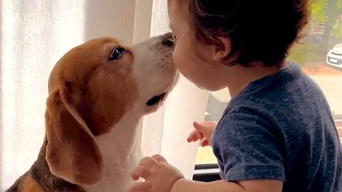 Dog playing with cute baby 😮😂