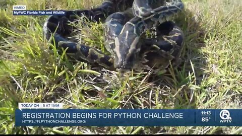 Registration begins for Florida's 2023 Python Challenge