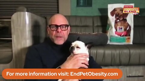 End Pet Obesity | Morning Blend