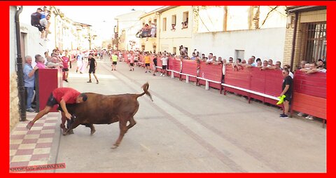 CADREITA ( NAVARRA ) TARDE VACAS EN CALLE ( LUNES 17 JULIO 2023 ) GANAD.ARRIAZU