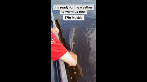 Big Muskie and Monster Walleye releases