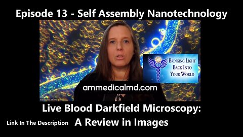 Self Assembly Nanotechnology Live Blood Darkfield Microscopy: A Review in Images