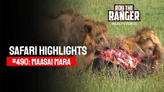Safari Highlights #490: 29th March 2018 | Maasai Mara/Zebra Plains | Latest Wildlife Sightings