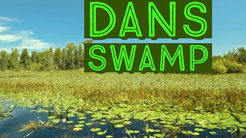 Dans swamp épisode2: pat martel