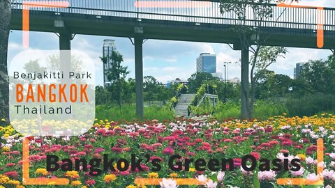 Benchakitti Park - longest skywalk in the world - is now fully open - Bangkok 2022