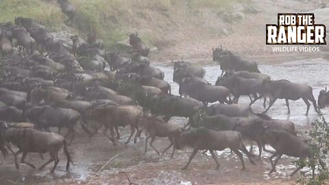 The Great Migration On The Move | Maasai Mara Safari | Zebra Plains