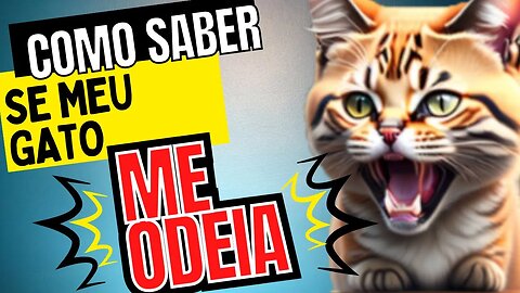 COMO SABER SE MEU GATO ME ODEIA