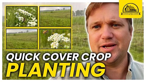Quick Cover Crop Planting For Pigs and Wildlife