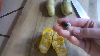 Pawpaw Fruit