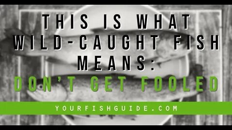 Wild vs Farmed Fish ~~ What Does Wild Caught Fish Mean? ~~