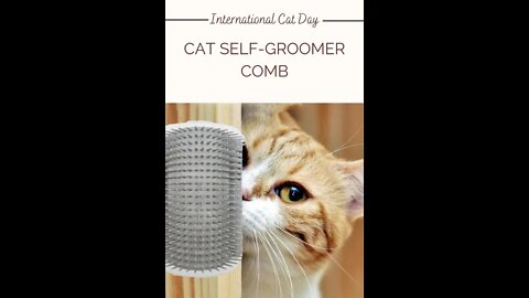 National cat day | Pet gadgets you must have | Best Gadgets for cats