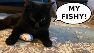 Vilma Cat: No Touch The Fishy!