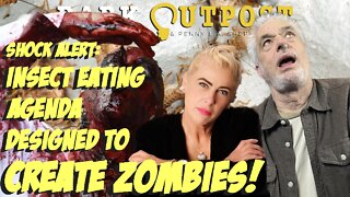 Dark Outpost Weekend Shock Alert: Insect Eating Agenda Designed To Create Zombies!