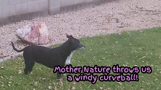 Mother Nature throws us a windy curveball!