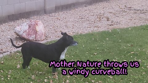 Mother Nature throws us a windy curveball!