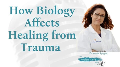 How Biology Affects Healing from Trauma with Dr Aimie Apigian on The Healers Café with Manon Bollig