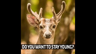 Do You Want To Stay Young? | Christopher P. Key